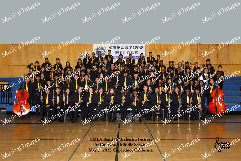 Musical Images